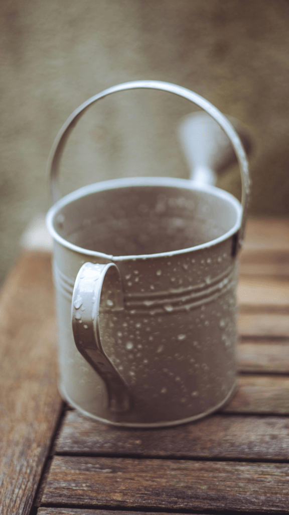 Metaal kopje met regenwater er in.
Bron: Pexels (Ramon Linares)