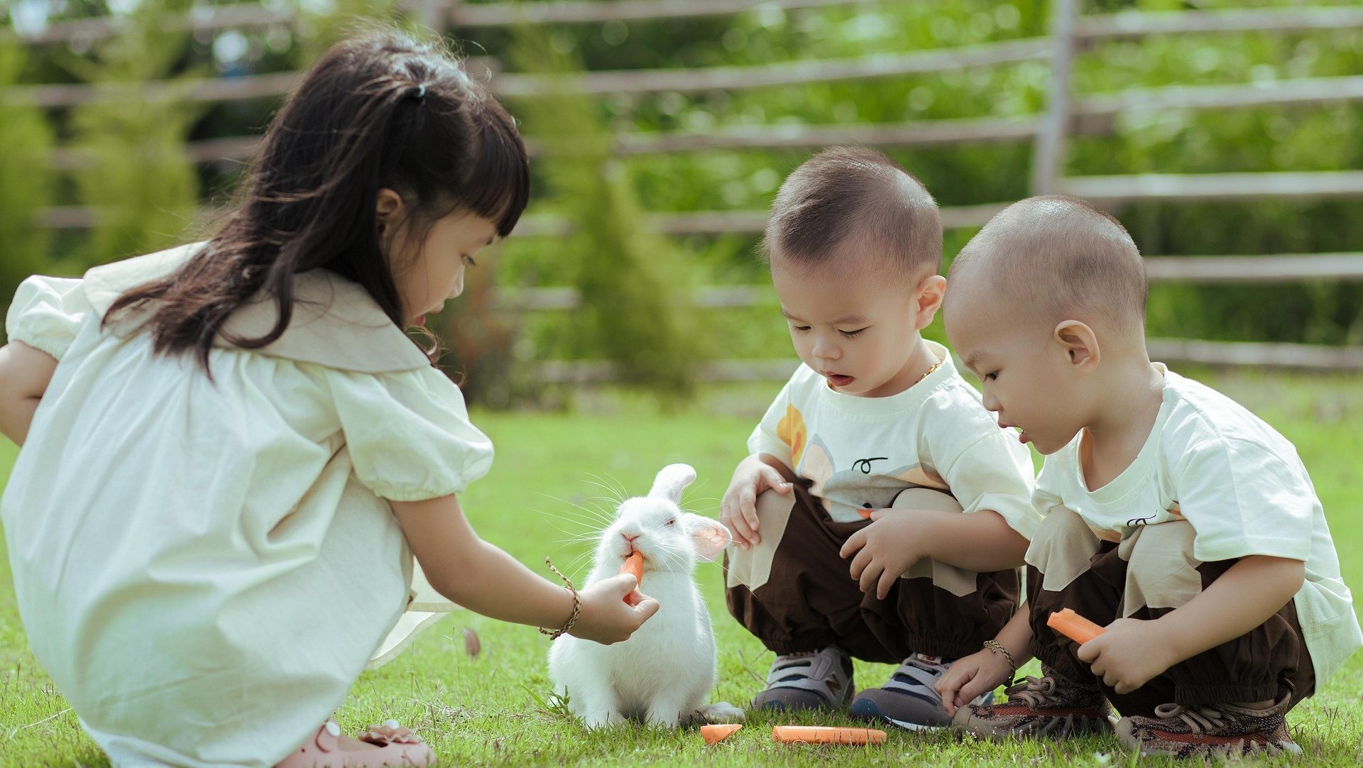 Kinderen die spelen met konijn Keyphrase: Spierziekte Bron: Jupilu (Pixabay)